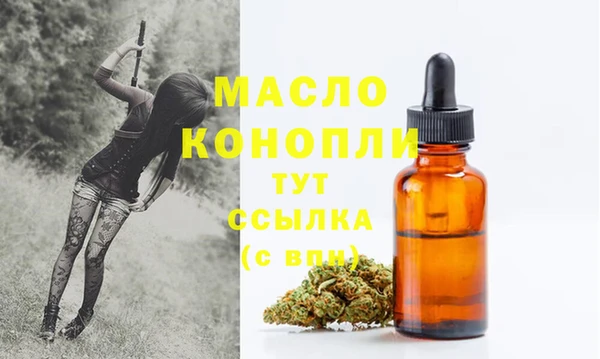 сатива Беломорск