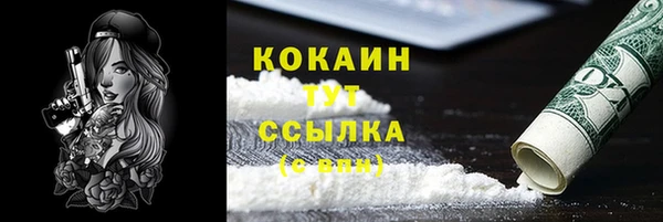 сатива Беломорск
