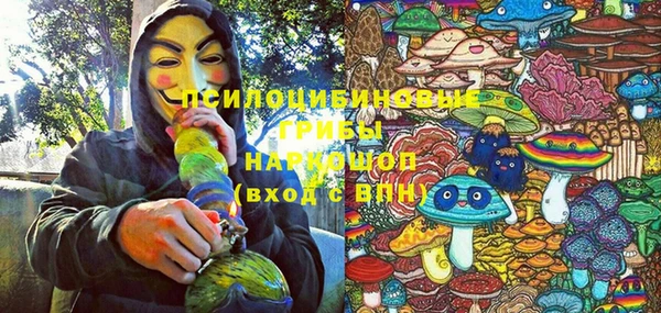 хмурый Балабаново