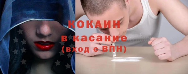 сатива Беломорск