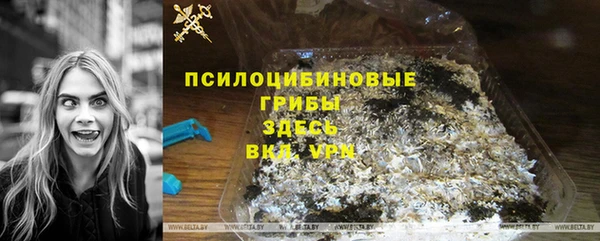 сатива Беломорск
