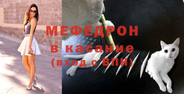 сатива Беломорск